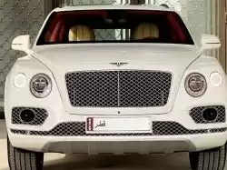 Использовал Bentley Bentley Zagato GTZ Продается в Доха #13079 - 1  image 